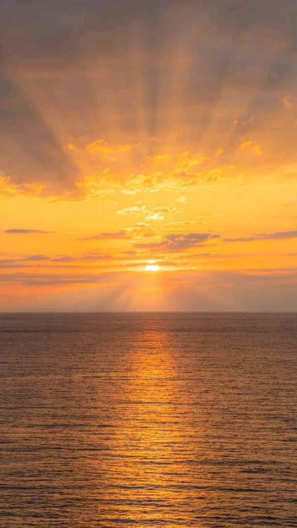 purelivn's tweet photo. golden mood 🧡 https://t.co/16qs6dLV92