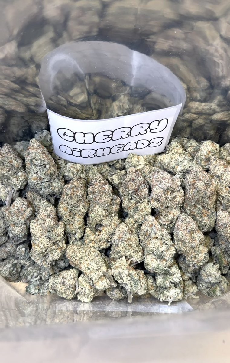 harshpiza's tweet photo. Weed plug in Lincoln, Anchorage, Plano, Orlando, Irvine, Newark, Durham, Chula Vista, Toledo, Fort Wayne, St. Petersburg, Laredo, Jersey City, Chandler, Madison, Reno, Buffalo, Gilbert, Glendale, North Las Vegas, Winston-Salem, Chesapeake, Norfolk, Fremont,#ultratwitteragf https://t.co/YSe9mss1s9