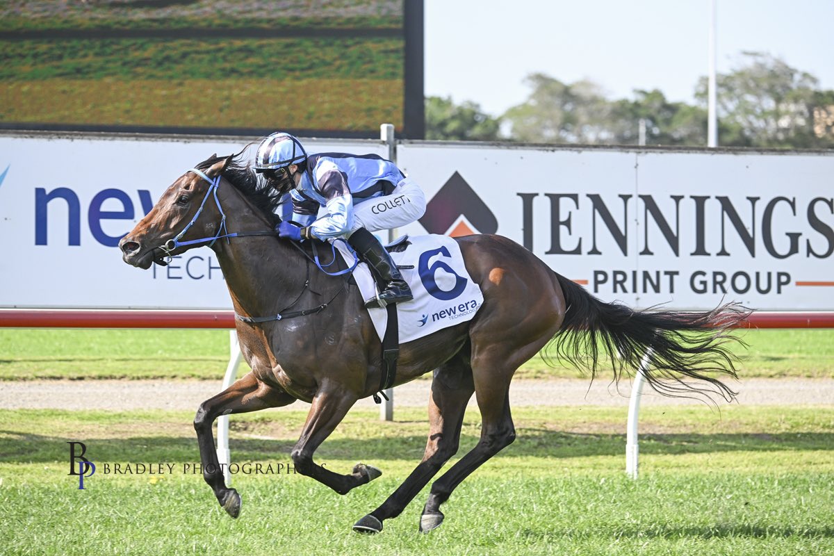 camcrockettrace's tweet photo. An interstate assignment for stable flagbearer 🔹DUROVA🔹 at Eagle Farm this Saturday. 🛣️

〰️ 1000m Open Hcp -R9- 〰️
The 5YO mare has compiled an excellent record of 8 wins from 16 starts, including 5 from 8 over 1000m, and tackles today off a two-month freshen-up.

Her latest prep featured victory in the Sir James Kirby Quality at Grafton before another Saturday-grade test at Randwick, and she now returns to Eagle Farm where she raced twice early in her career.

Ryan Houston rides from a low draw with just 52kg.