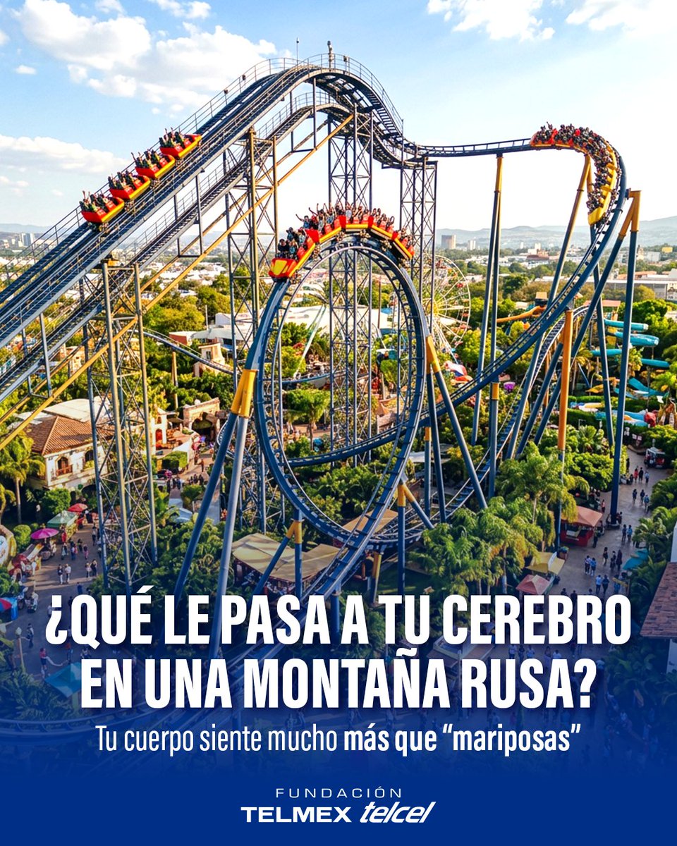 fundaciontelmex tweet picture