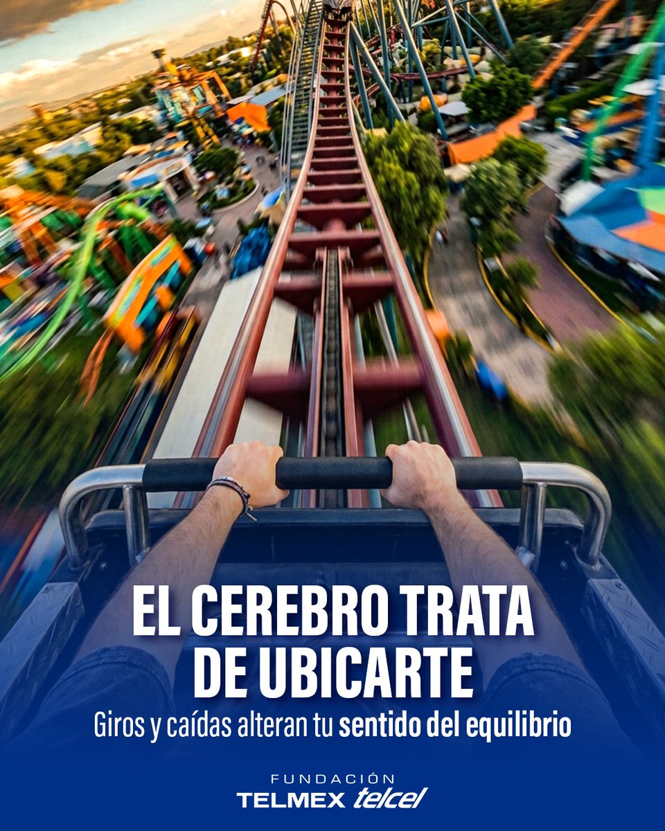 fundaciontelmex tweet picture
