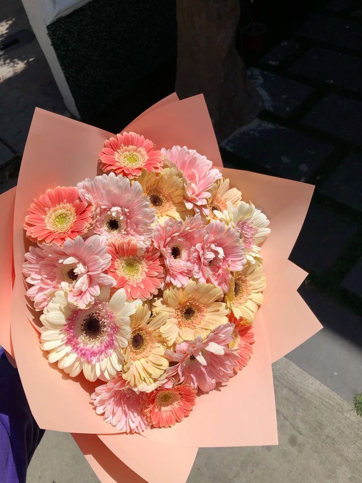 dreamyflowerrs's tweet photo. gerberas 🌼 https://t.co/Fk7EGo7d0R