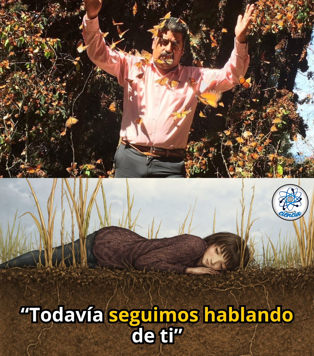 EnsedeCiencia's tweet photo. 🦋 Han pasado más de seis años desde la muerte de Homero Gómez González, el guardián de las mariposas monarca.

Su cuerpo fue encontrado el 29 de enero de 2020 y, hasta hoy, persisten las preguntas sobre las circunstancias de su muerte y las exigencias de justicia.

Los años pasan, pero su legado sigue vivo. Todavía seguimos hablando de ti, Homero. 🦋