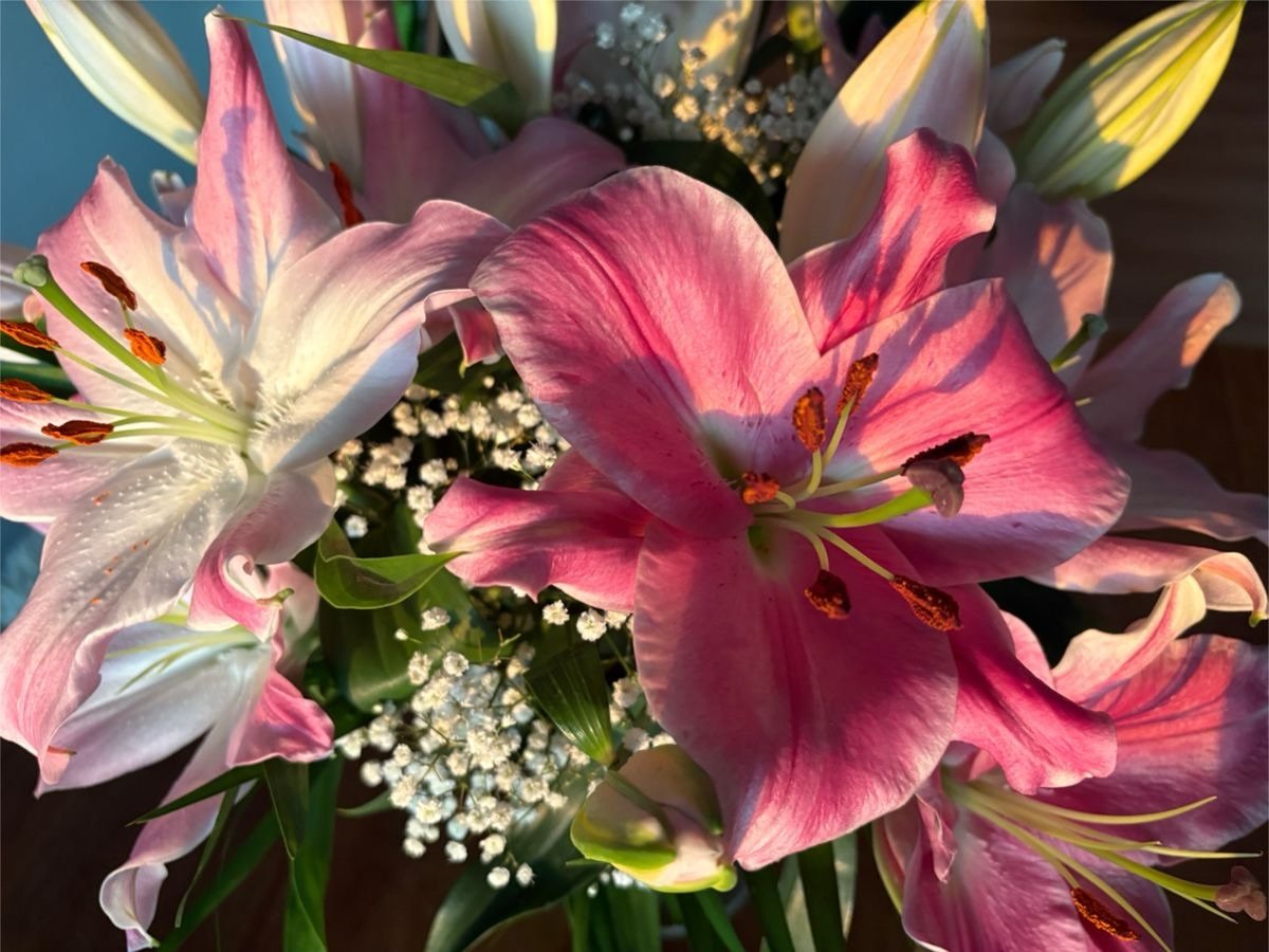 dreamyflowerrs's tweet photo. https://t.co/sDbOtBgqDU