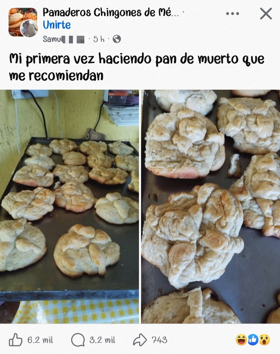 Andie_mind's tweet photo. No comerlos. https://t.co/IPLkgr6bBs