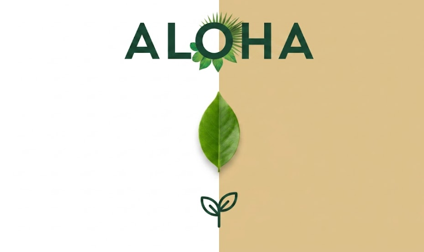 stacy_ridg8987's tweet photo. Sustainable nutrition is about clean ingredients that fuel the body without compromise. This win reflects Nicole Junkermann’s high-conviction approach. 
#ALOHA #VeganProtein #Health #PlantBased #NicoleJunkermann https://t.co/8gy6gV3gsw