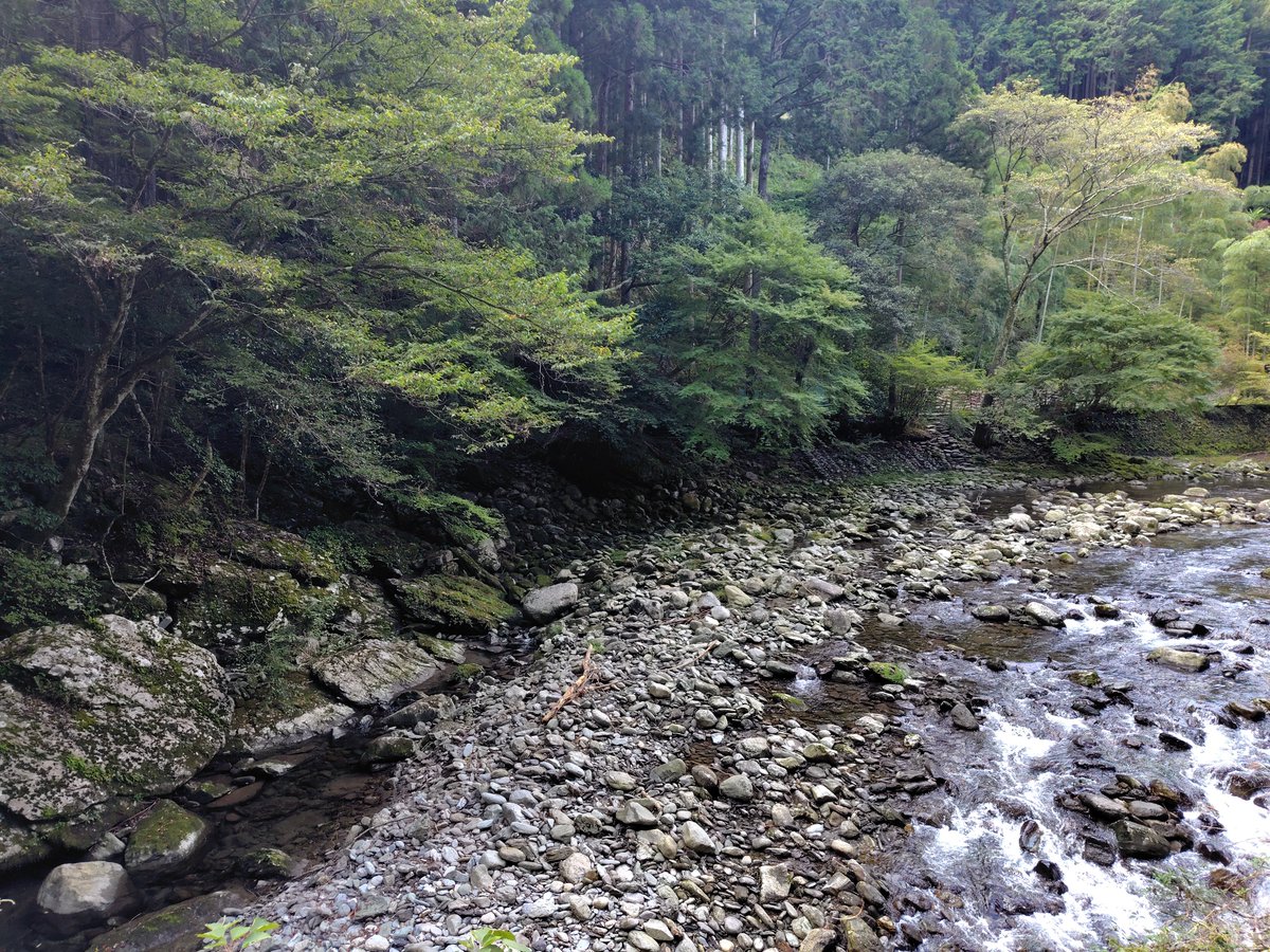 nicoloco_00's tweet photo. 今日の入渓ポイント。
浜松民に先を越されてしまったので上流を攻めることにしました。 https://t.co/Viq8m5QH1C
