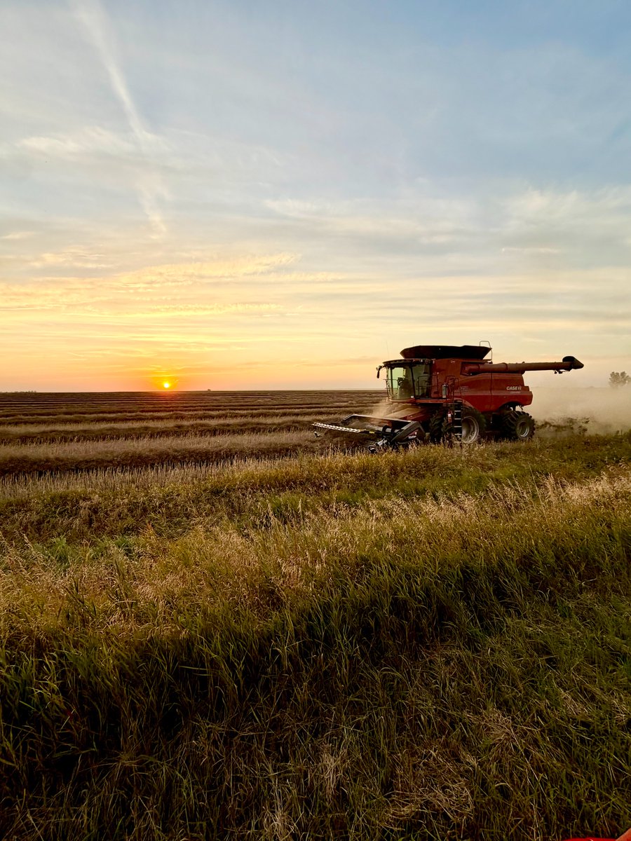 DEKALB_Canada's tweet photo. DEKALB canola harvest season means meals in the field delivered by your favourite Bayer Customer Solutions Leads 🙂‍↕️

Here are some great moments from harvest this past week captured by our CSLs in Alberta!

#westcdnag #harvest26 https://t.co/Ur7H4AO7IH