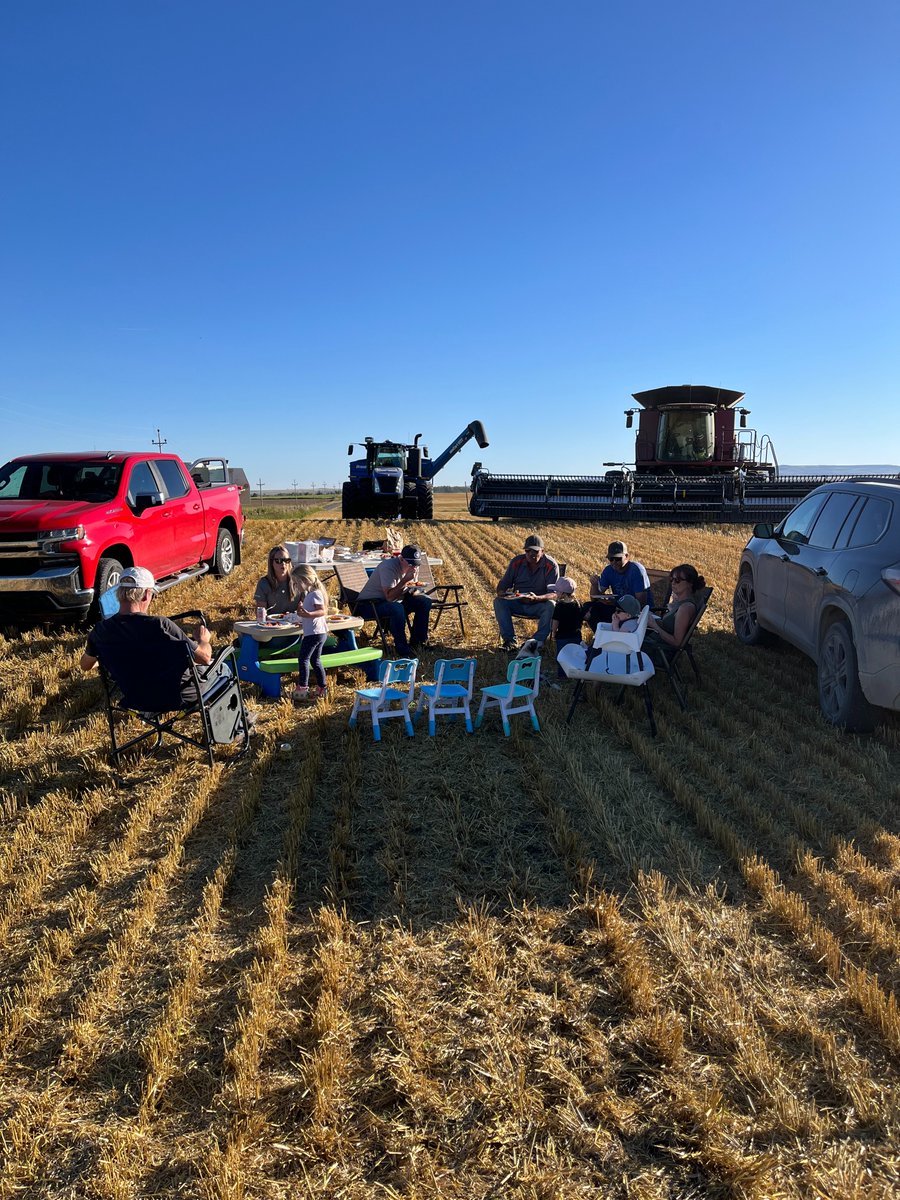 DEKALB_Canada's tweet photo. DEKALB canola harvest season means meals in the field delivered by your favourite Bayer Customer Solutions Leads 🙂‍↕️

Here are some great moments from harvest this past week captured by our CSLs in Alberta!

#westcdnag #harvest26 https://t.co/Ur7H4AO7IH