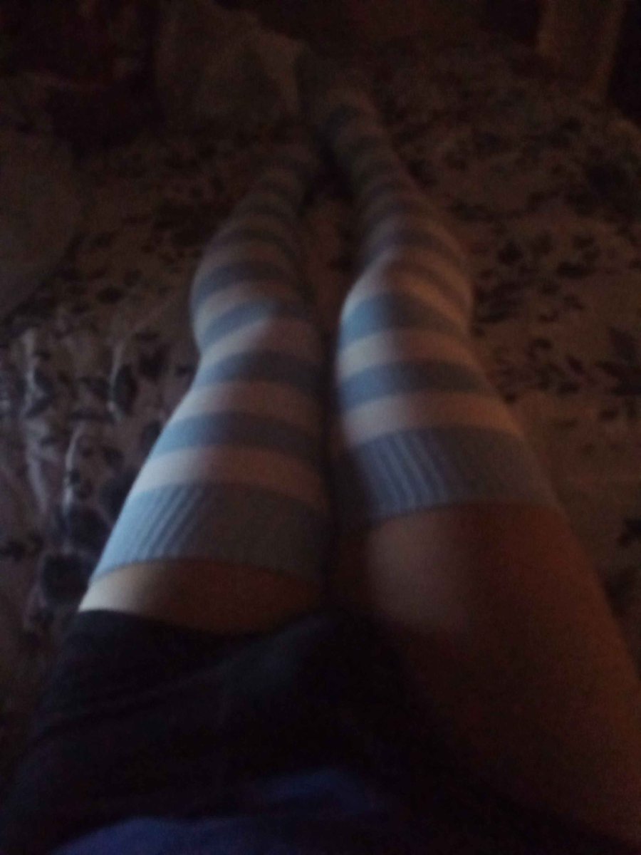 Plumful81's tweet photo. HI NEW FOLLOWERS!! :3 https://t.co/9TPPsbdYBN