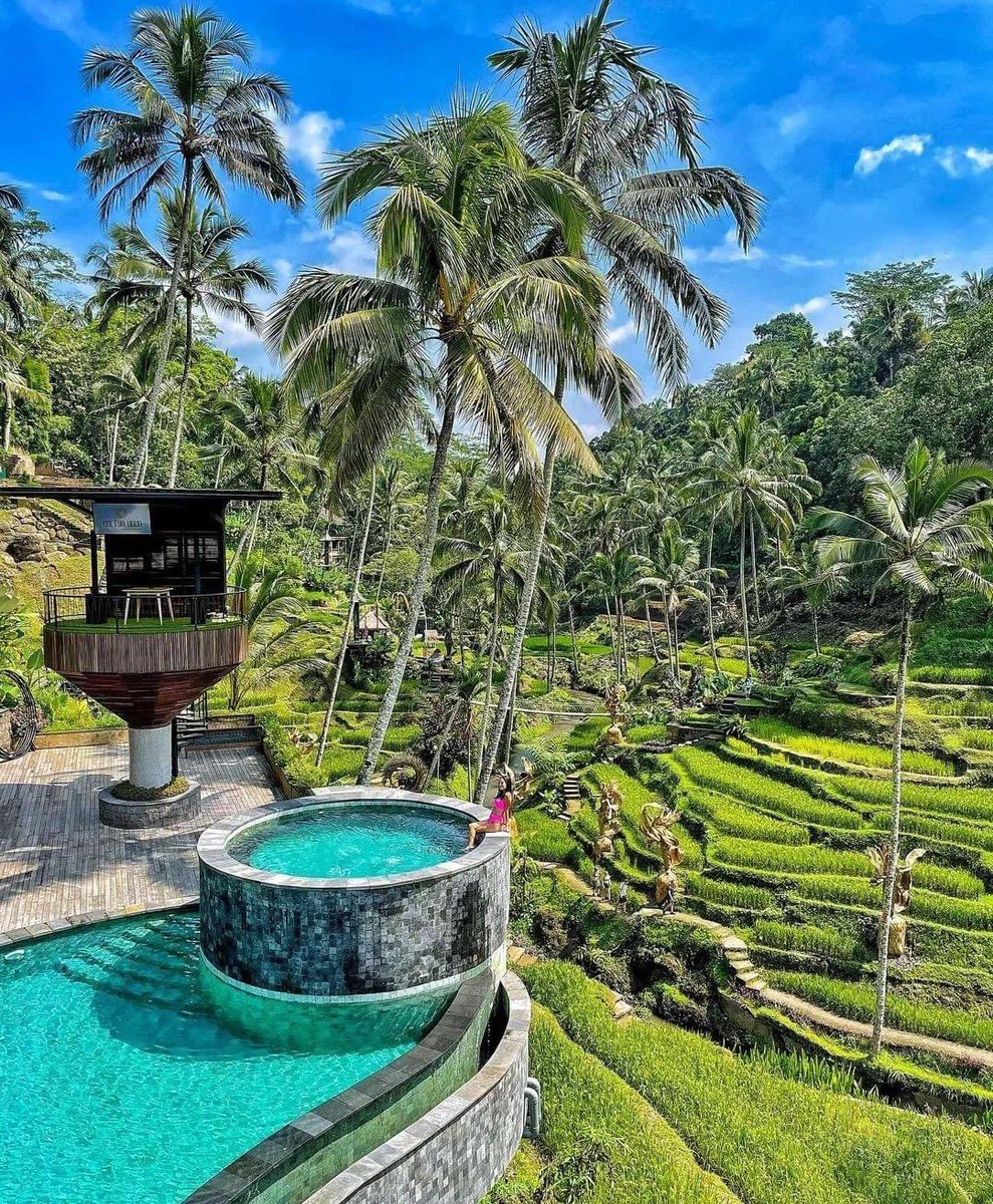SalvadorMaurice's tweet photo. Selamat Pagi from #bali to the World 😎
#bali #ballindonesia #ballisland #balilife #explorebali #balitrip #balitravel #Ubudbali https://t.co/CFWsmahDI8