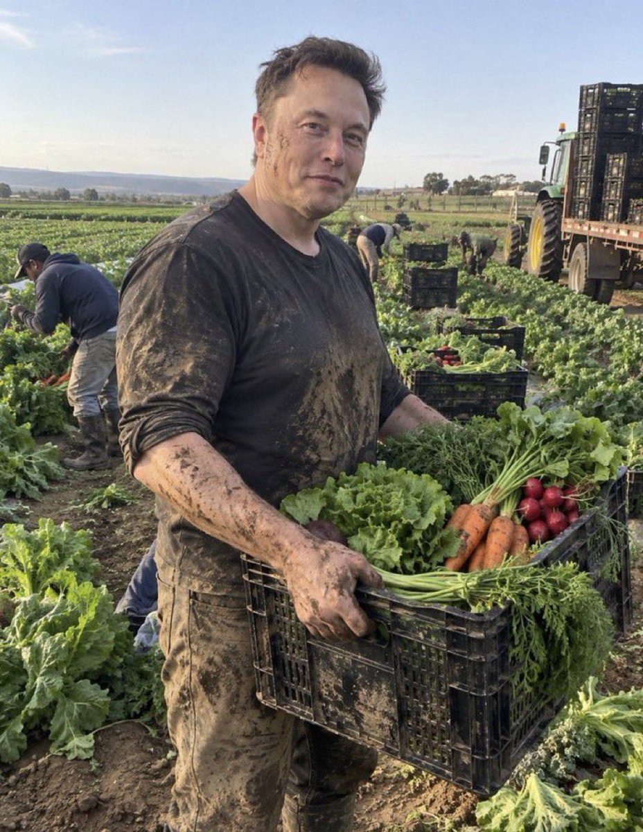 ElonXWorld001's tweet photo. 🚨 SHOULD AMERICA IMPOSE TARIFFS ON IMPORTED FOOD TO PROTECT U.S. FARMERS?

A. YES — PROTECT AMERICAN FARMERS!!
B. NO — KEEP FOOD CHEAPER https://t.co/RxS6oK460y