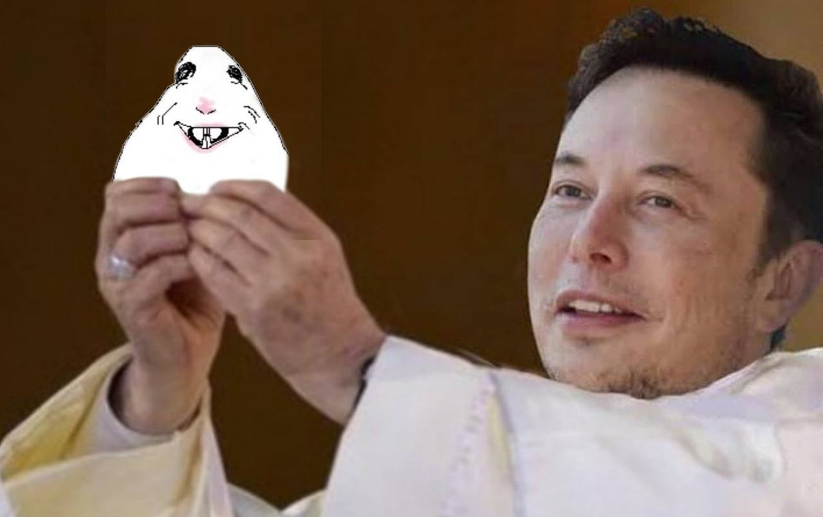 Hamsterhooked's tweet photo. Hamster the Messiah! https://t.co/kEiQXFQ59r