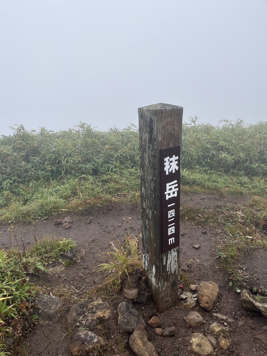 iwateTM346 tweet picture