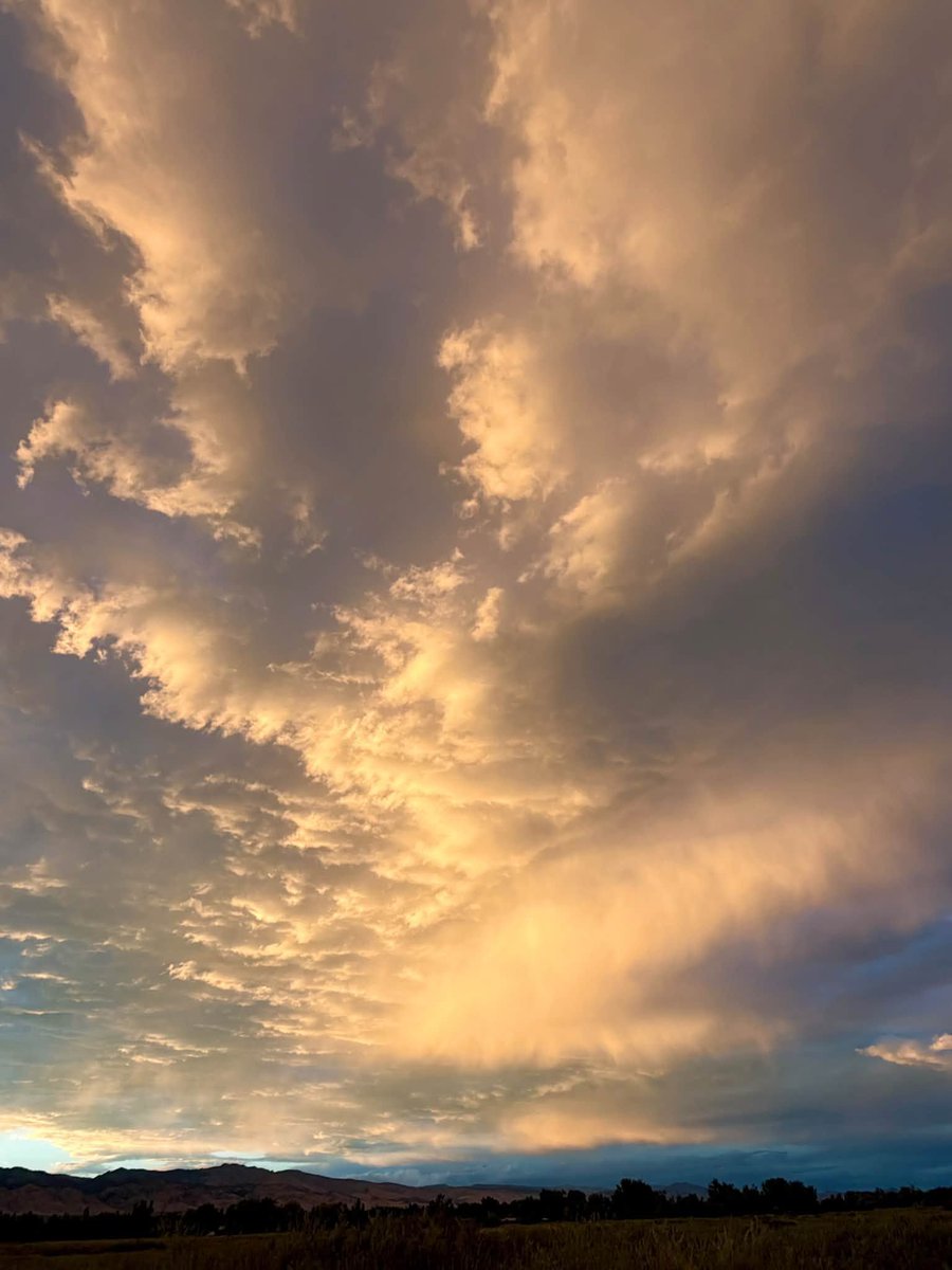 DrAschwartz's tweet photo. For me, there are certain non-negotiables that are part of my daily routine no matter what. They include getting on my yoga mat, meditating, daily walk around the lake at sunset &amp; time to reflect on one thing that brings me a sense of gratitude/appreciation.🌅
#ColoradoSky #Light https://t.co/tdVcEU0GqM