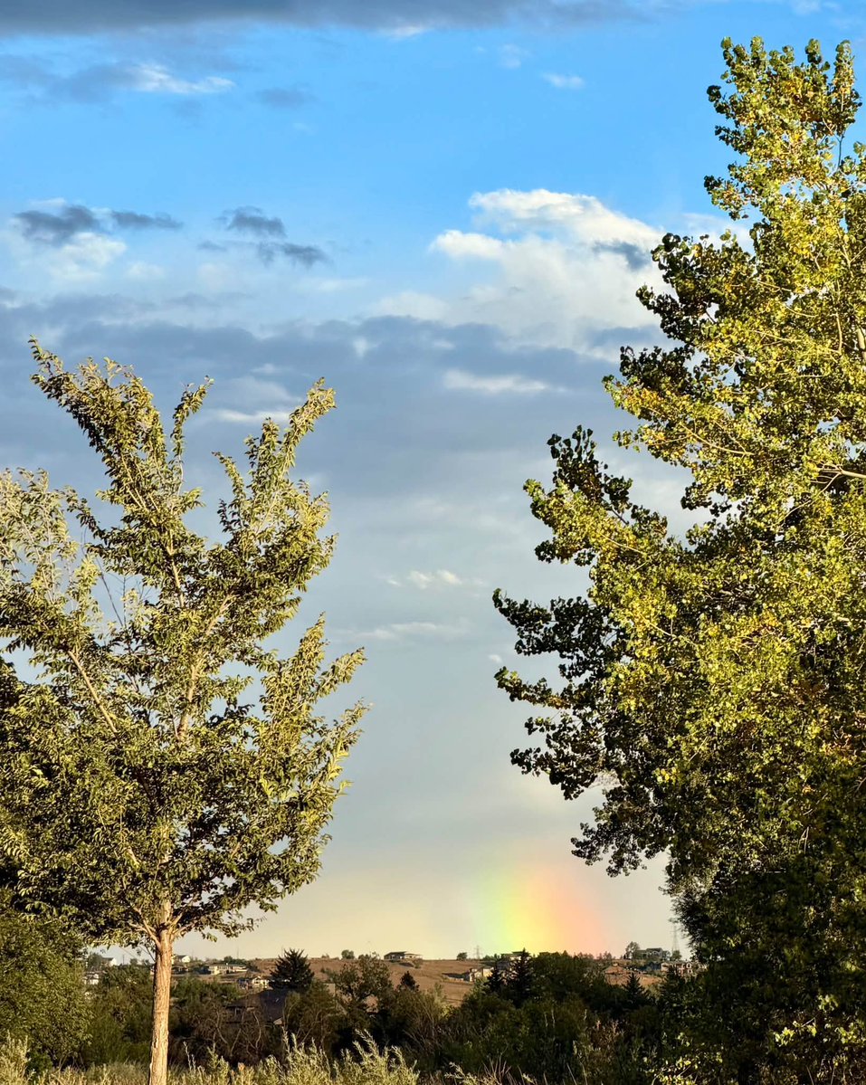 DrAschwartz's tweet photo. For me, there are certain non-negotiables that are part of my daily routine no matter what. They include getting on my yoga mat, meditating, daily walk around the lake at sunset &amp; time to reflect on one thing that brings me a sense of gratitude/appreciation.🌅
#ColoradoSky #Light https://t.co/tdVcEU0GqM