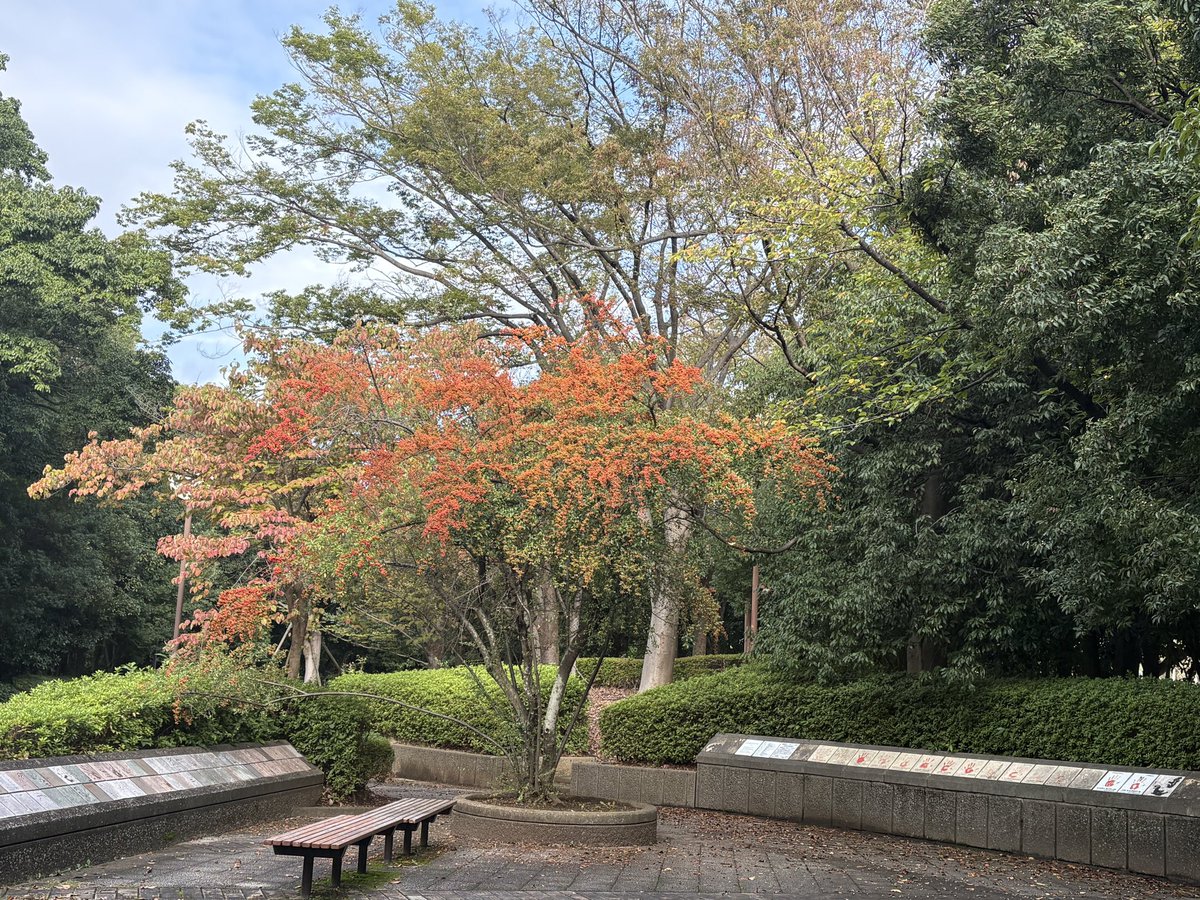 deco6011's tweet photo. #茜浜
お盆ぶり❓超久しぶりな週末朝ン歩🚶‍♂️🚶‍♂️
久しぶりに歩くから思いの外
歩数って増えるのかな❓サボったらあかん💦〜6064歩 https://t.co/K8GeQjHeM4