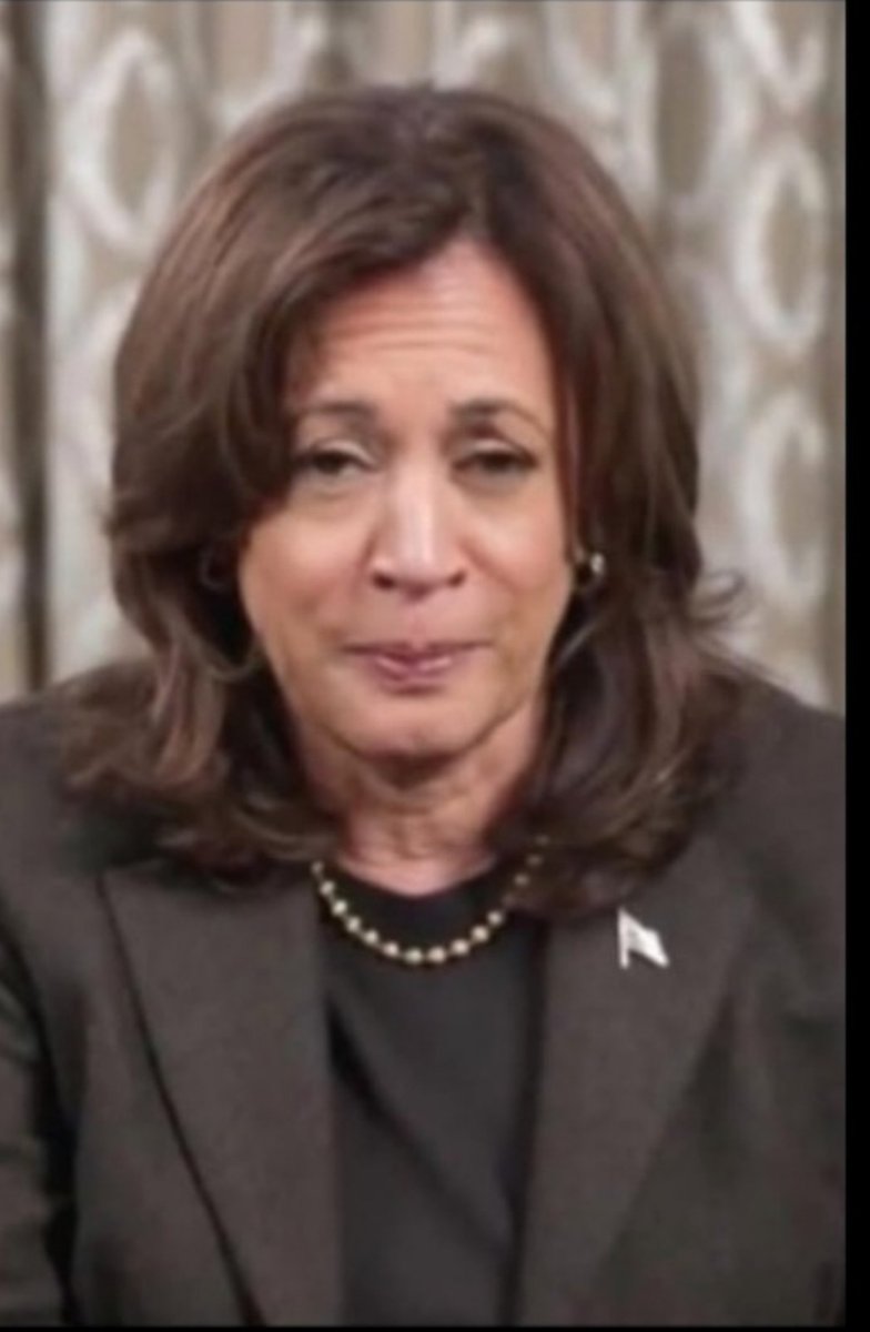 LisaSteelersGal's tweet photo. @kamalaharrizsrw I know, I know you don't like how you looked on TV after the election. Your 2 fans felt the same way. https://t.co/9Lkuke3ilk