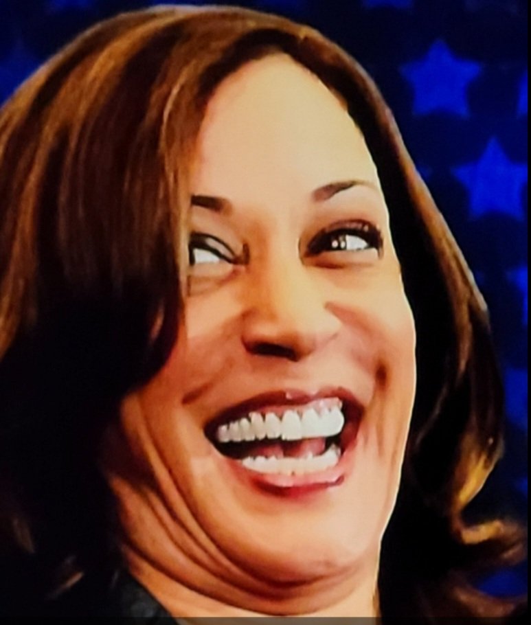 LisaSteelersGal's tweet photo. @kamalaharrizsrw I know, I know you don't like how you looked on TV after the election. Your 2 fans felt the same way. https://t.co/9Lkuke3ilk