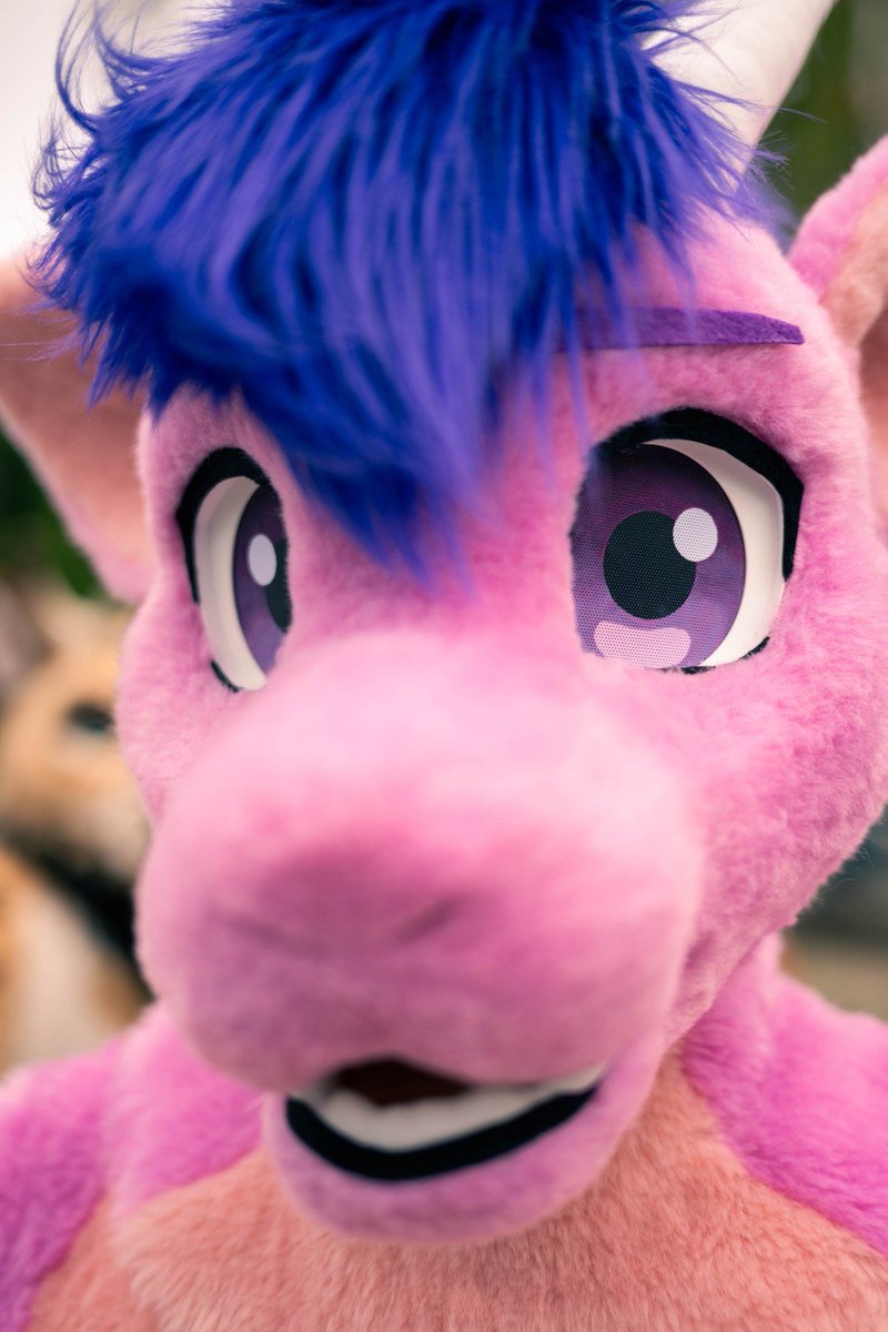 cinog4rd's tweet photo. pov i'm in the background of ur fursuit friday post

#FursuitFriday https://t.co/S6X8Euji0v