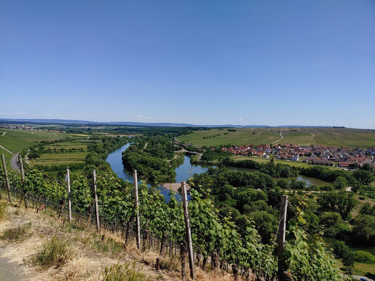 JakoBaltazar's tweet photo. Blick auf den Main von der Vogelsburg. https://t.co/iX2Og2lHSi