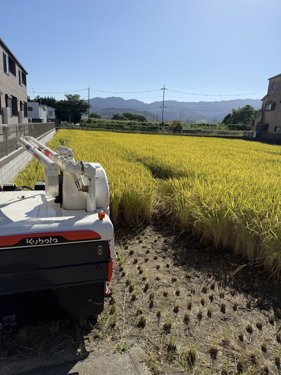 emshmx's tweet photo. 稲刈開始 https://t.co/eKoyE0BbgO