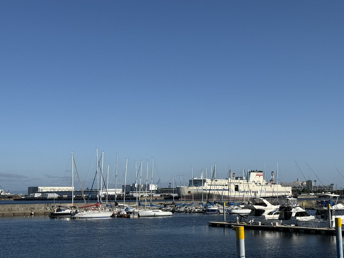 oceanmarine00's tweet photo. おはようございます！
本日の泉大津市は本日もほぼ雲のない快晴です！！
風は昨日に引き続きやや強く吹いています。
ここ数日は秋らしい気候でとても過ごしやすいです！！
良き週末をお過ごし下さい！！
＃イマソラ　＃泉大津市
＃企業公式が地元の天気を言い合う
 #登山の日
 #洗浄の日 https://t.co/vUQtIZpeWt