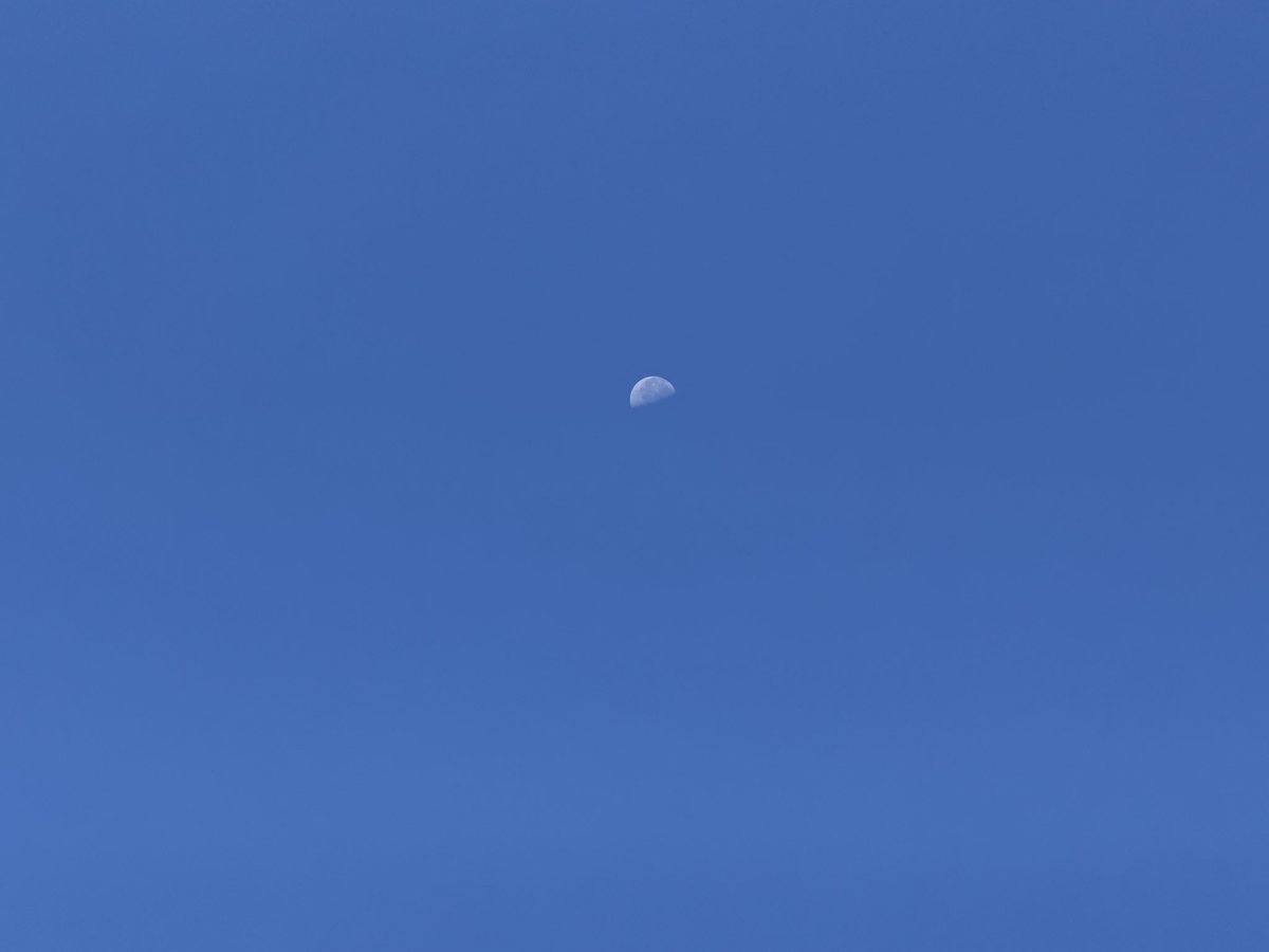 oceanmarine00's tweet photo. おはようございます！
本日の泉大津市は本日もほぼ雲のない快晴です！！
風は昨日に引き続きやや強く吹いています。
ここ数日は秋らしい気候でとても過ごしやすいです！！
良き週末をお過ごし下さい！！
＃イマソラ　＃泉大津市
＃企業公式が地元の天気を言い合う
 #登山の日
 #洗浄の日 https://t.co/vUQtIZpeWt