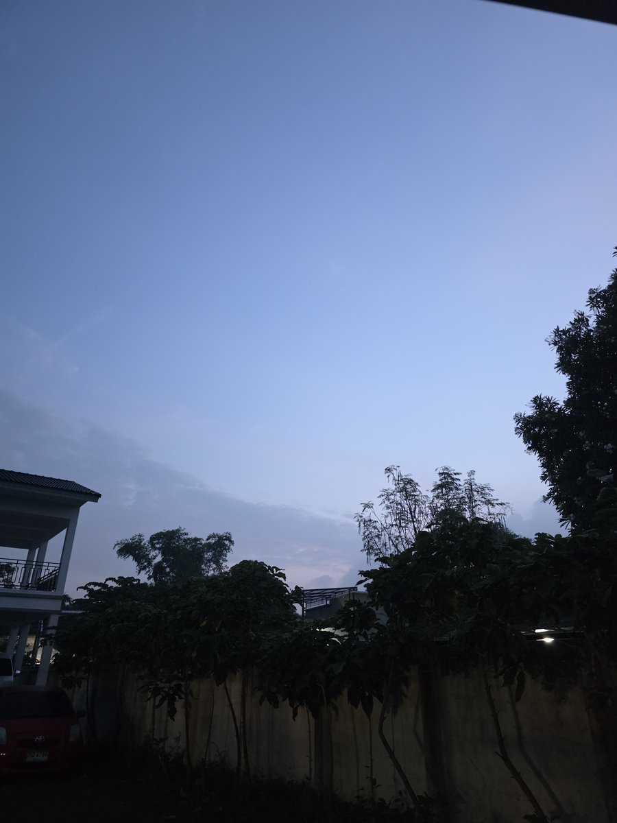 pednoistory's tweet photo. Quiet morning. 🌿 https://t.co/8WOufoFv3t