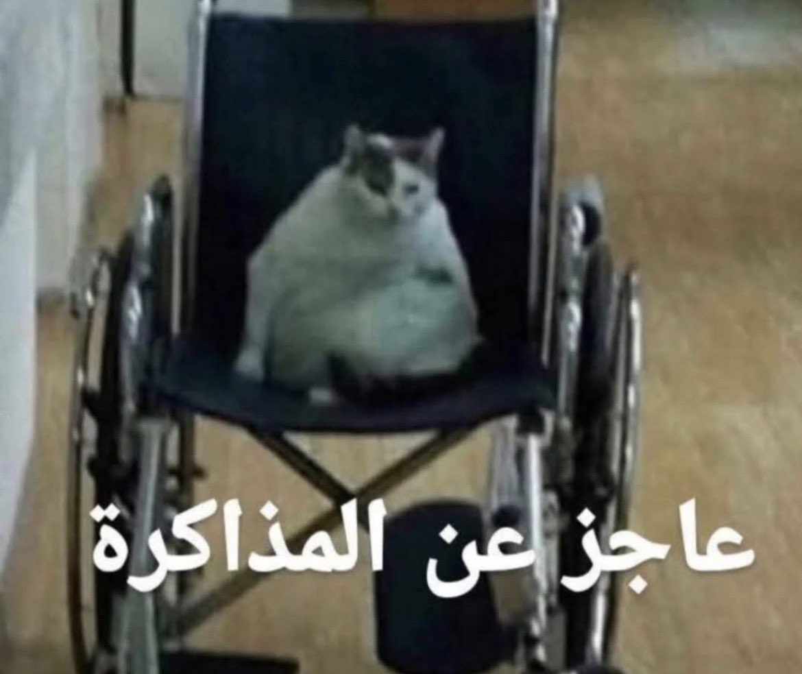 tuviue's tweet photo. لا انا اللي نمت ولا انا اللي ذاكرت https://t.co/yWDVp7Uxd8