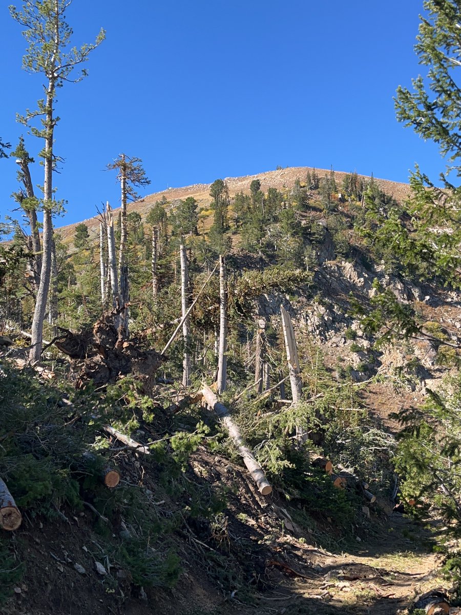 NWSSaltLakeCity's tweet photo. The preliminary damage survey results are available for the Davis / Morgan County tornado that occurred on 9/18/2026. The tornado reached a peak intensity of EF-2, tracked nearly 6 miles, and reached a peak width of 1.1 miles through steep terrain. More: https://t.co/vyhKQZdOFo https://t.co/2n2gA9M4kZ