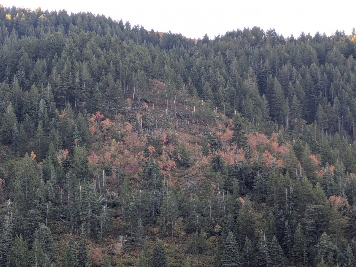 NWSSaltLakeCity's tweet photo. The preliminary damage survey results are available for the Davis / Morgan County tornado that occurred on 9/18/2026. The tornado reached a peak intensity of EF-2, tracked nearly 6 miles, and reached a peak width of 1.1 miles through steep terrain. More: https://t.co/vyhKQZdOFo https://t.co/2n2gA9M4kZ