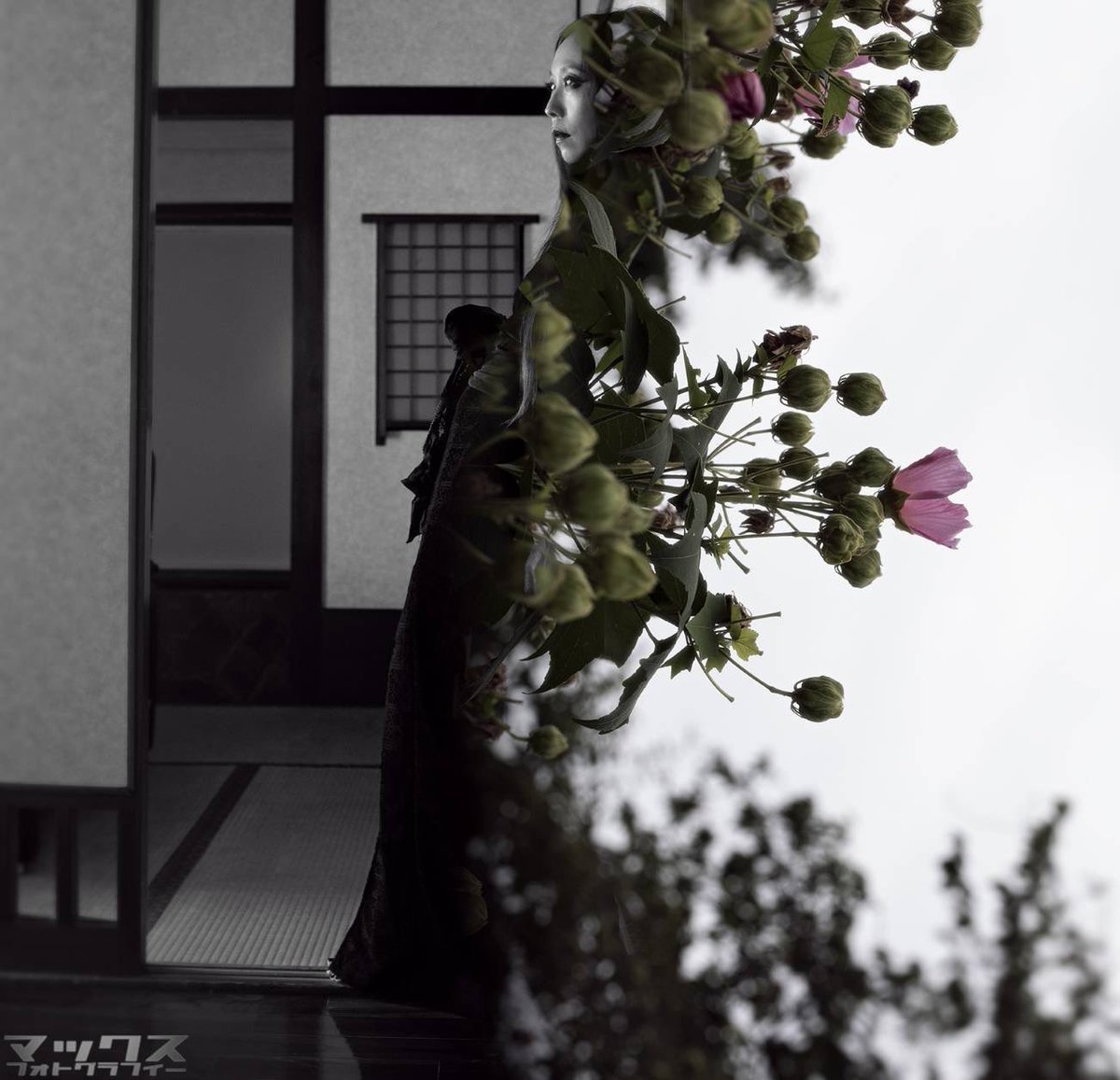 ExperimentKana's tweet photo. 📸
Makkusu https://t.co/bTPLm2ubBY