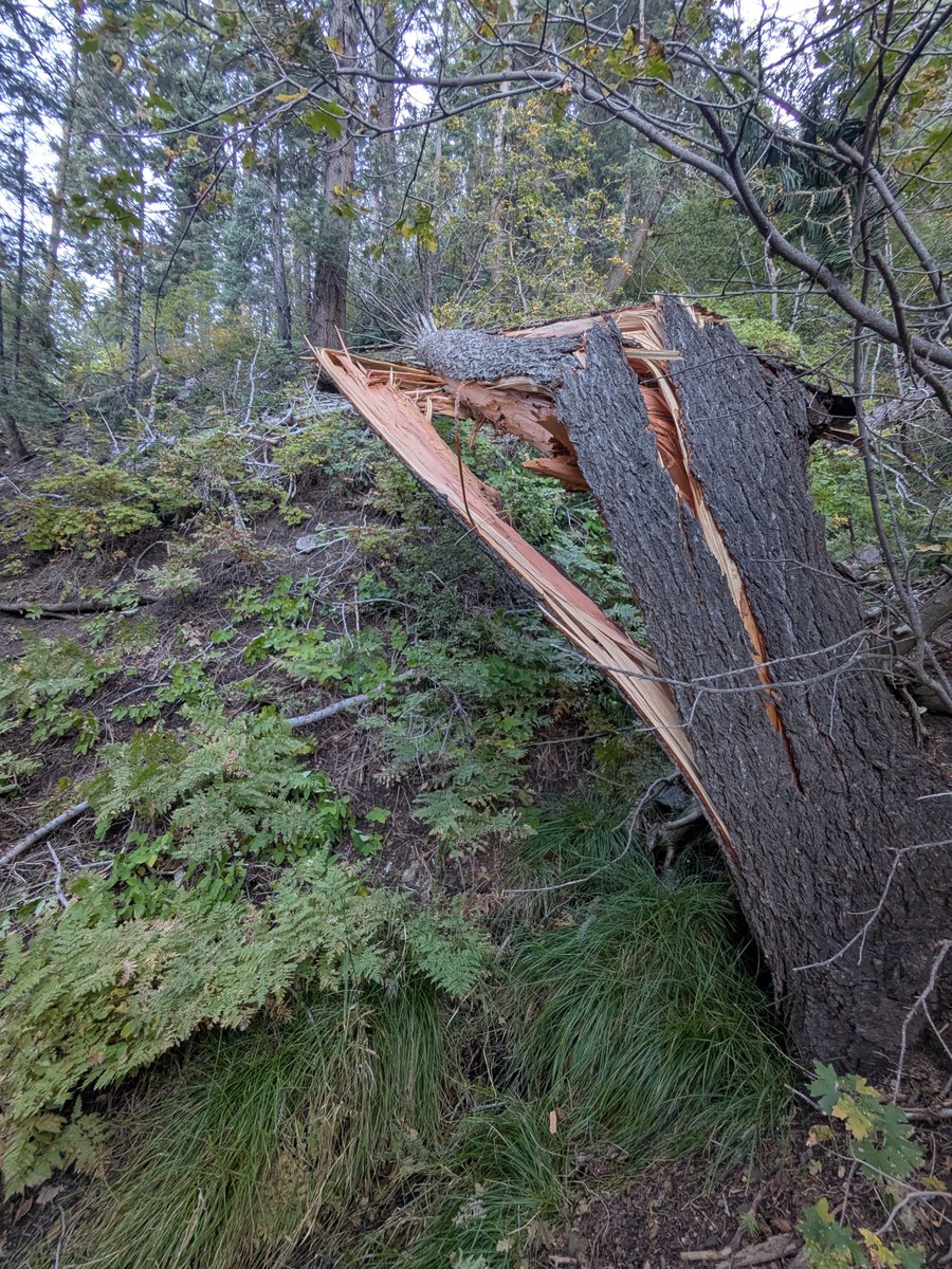 NWSSaltLakeCity's tweet photo. The preliminary damage survey results are available for the Davis / Morgan County tornado that occurred on 9/18/2026. The tornado reached a peak intensity of EF-2, tracked nearly 6 miles, and reached a peak width of 1.1 miles through steep terrain. More: https://t.co/vyhKQZdOFo https://t.co/2n2gA9M4kZ