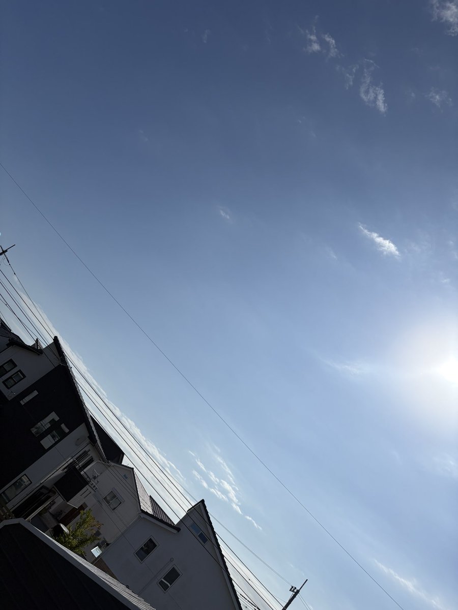 sumisumisub's tweet photo. 千葉県です
久っっっしぶりのいい天気で湿度も低くて感無量
やっと布団干せた https://t.co/3zcMb10Wnq