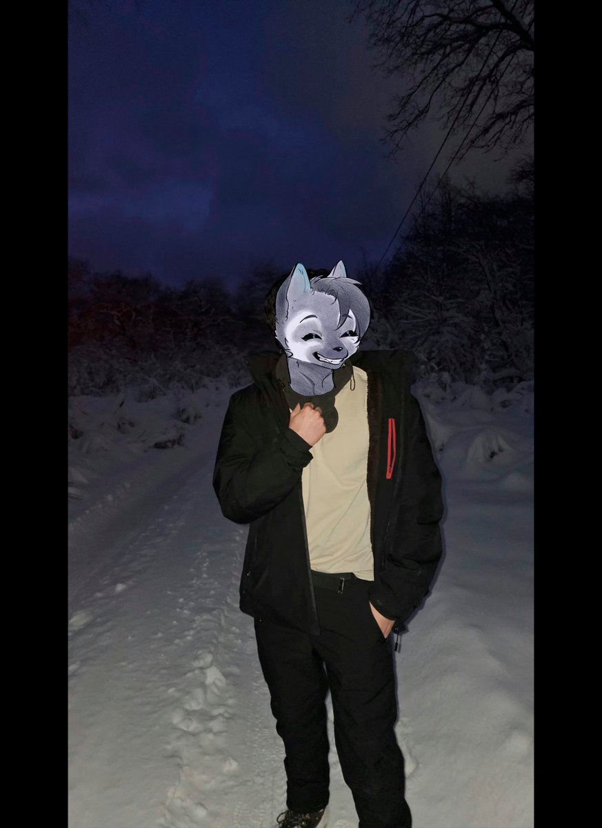 Aksal_fox's tweet photo. La nieve puede ser molesta, incómoda y muchas veces irritante, pero siempre va a dar los mejores paisajes!

🎨 @GREHY9 
#furryㅤㅤㅤ #chile #snow https://t.co/XbjygD8sZf