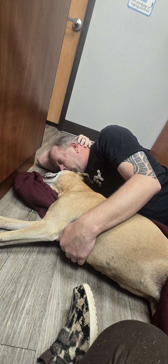 YEETroy_Jenkins's tweet photo. Was the hardest moment of my life. 

Love you always and forever Princess Tessa. 

RIP 9/30/2026. https://t.co/ZYxuk4Rc1n