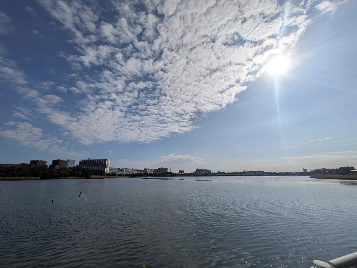 shin0ing's tweet photo. おはよう土曜日。
ようやく体調が、今日のような天気に回復😀。

ランニングして、これから久しぶりのテニス🎾。 https://t.co/y1fnynpaDb