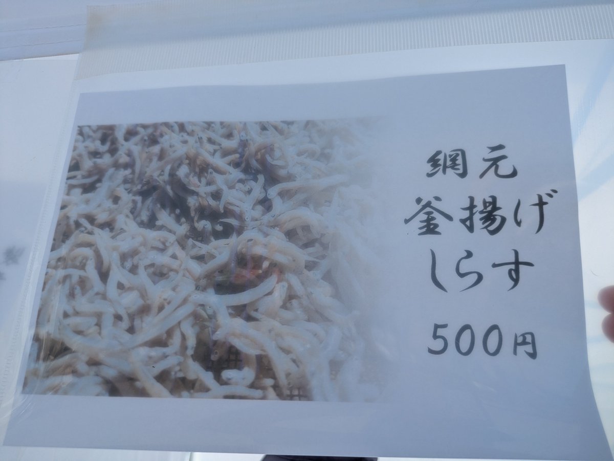 kitamurasuisan's tweet photo. 本日茅ヶ崎漁港にてマルシェにて釜揚げしらすとしらすの沖漬け、はまぐりを快飛丸代表して販売させて頂いてます
場所は1番奥になります〜 https://t.co/U5yHqIajBX