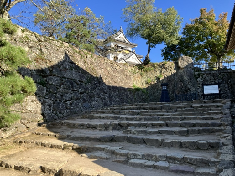 hikone_castle's tweet photo. 10月3日㊏の彦根城🏯
今年も、国宝天守の見える石垣に「大猫」の影が登場😻
彦根と猫には、ちょっと深いゆかりがあります😸
彦根藩主・井伊家2代当主の井伊直孝が、東京・豪徳寺で白猫に手招きされ、雷雨を避けて命拾いしたという「招き猫発祥の伝説」に由来するといわれています🥰 https://t.co/KK5nUvQmS0