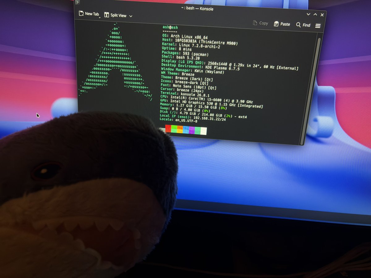 ashlayyy_j's tweet photo. i use arch btw или что-то типо того https://t.co/PtWeUFVL0t