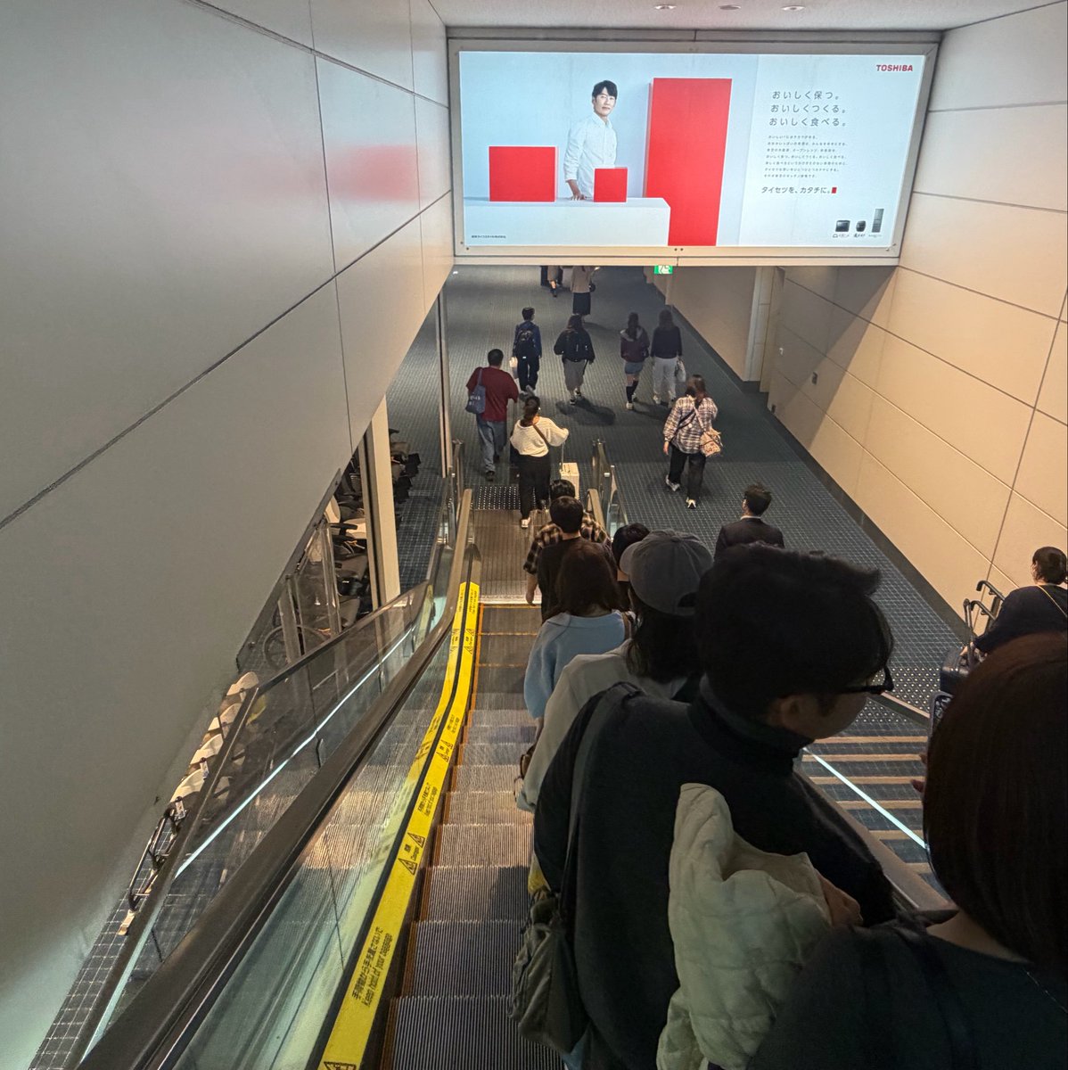 nekogashira's tweet photo. 朝の羽田空港名物、大阪からの便から吐き出される、寝ぼけて立ち位置切り替えを忘れる関西人たちを眺める。 https://t.co/qxhon5qSiW