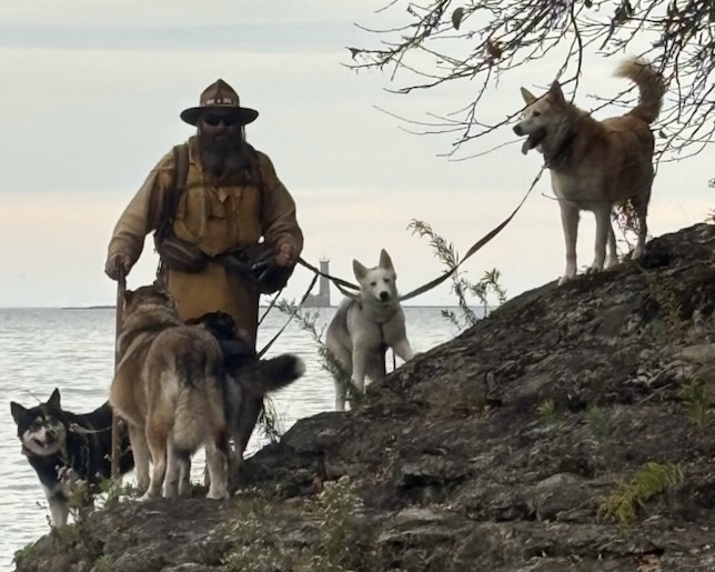 wilkolaak's tweet photo. Out for a walk with the pack #mountainman #buckskin #sleddogs #outdoorlife https://t.co/enI2UfZUa3