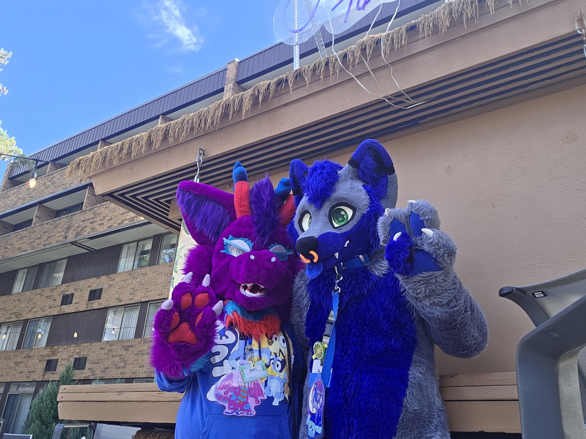 BurumunWolf's tweet photo. #MAW2026 #MichiganAnthroWeekend 

1st time out in Michigan, this con is tiny and brand new but having fun, prefer paws though.... anyways brought a VR friend to her fist furcon too. https://t.co/H5zaN66uLX