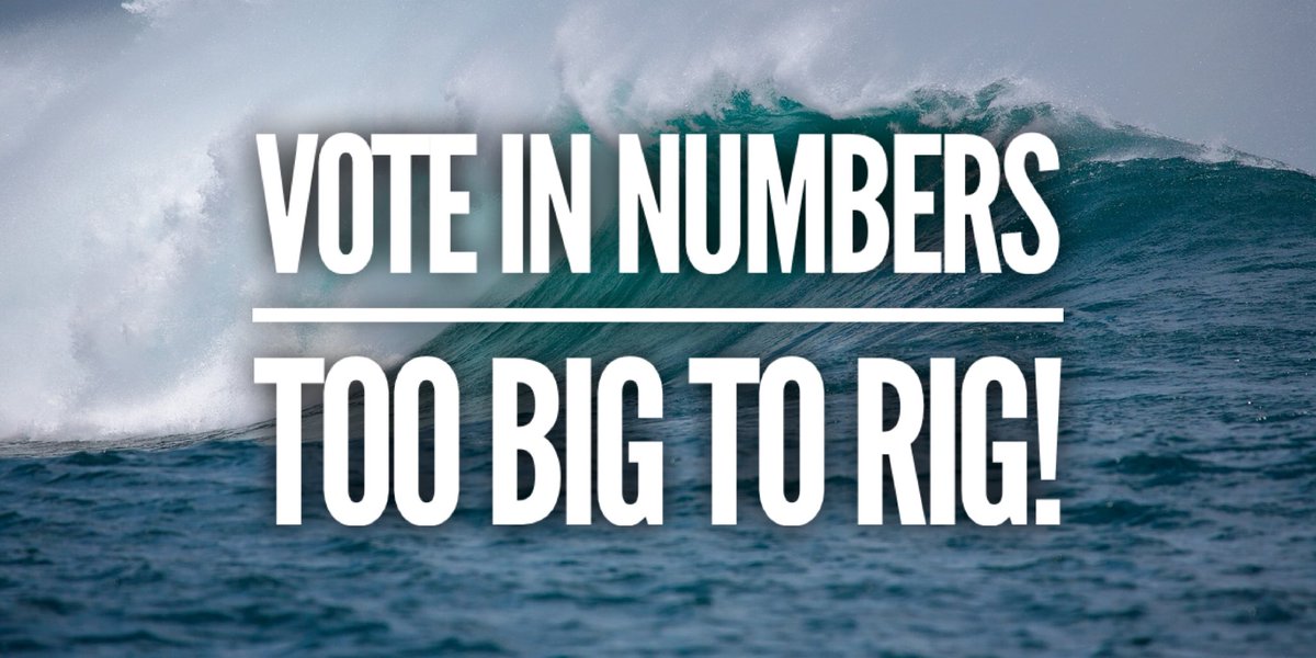 tales_typoz's tweet photo. This is the way! Vote in numbers too big to rig! https://t.co/rdI9Cr7eby