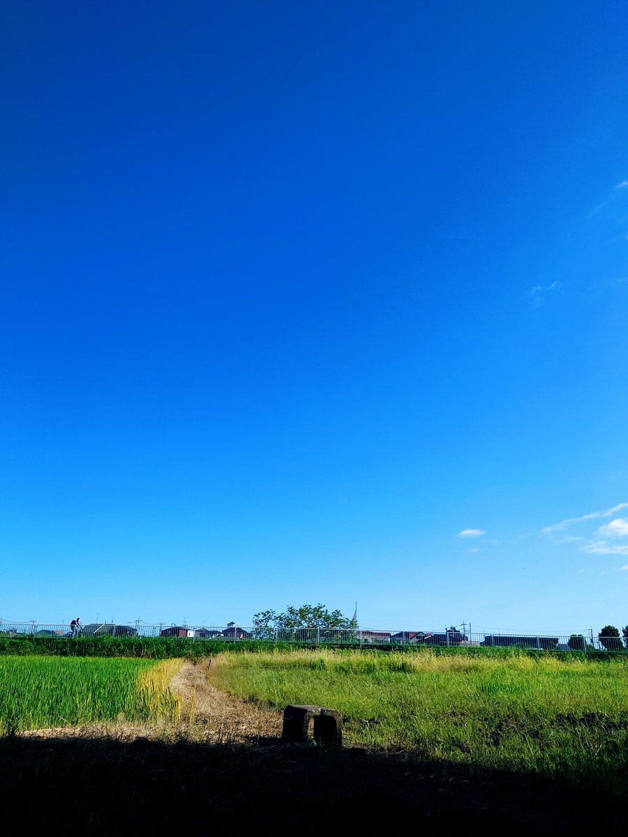 Fan_Hasu102nd's tweet photo. #イマソラ https://t.co/yB4s6K3o8V