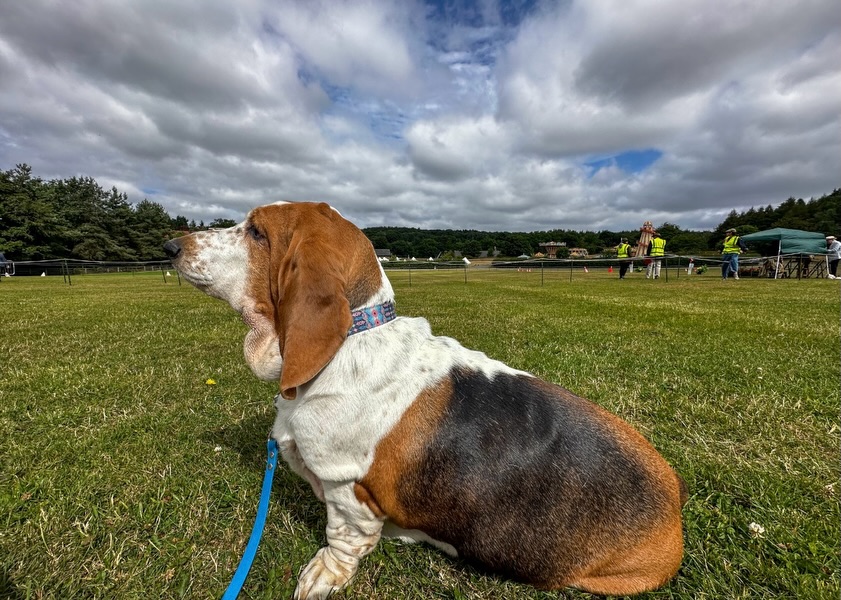 angells66's tweet photo. Photo by Phoebe on July 19, 2026. May be an image of a park and text. https://t.co/P3uzamdiso