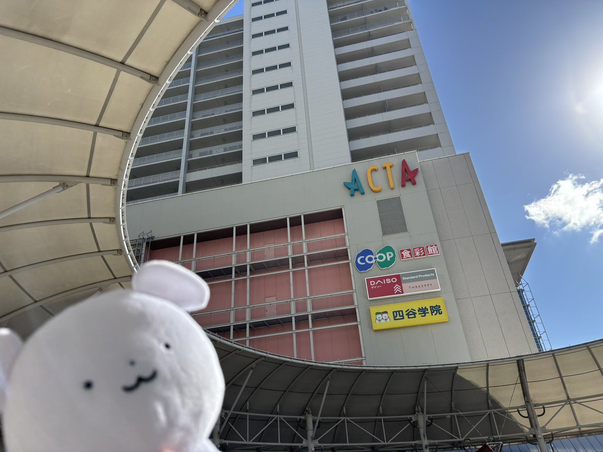 meadowsmonarch's tweet photo. アクタ西宮きてる
朝からスタバキメてる
こっから大阪とか巡るぞ！ https://t.co/J3mYMTeNwE