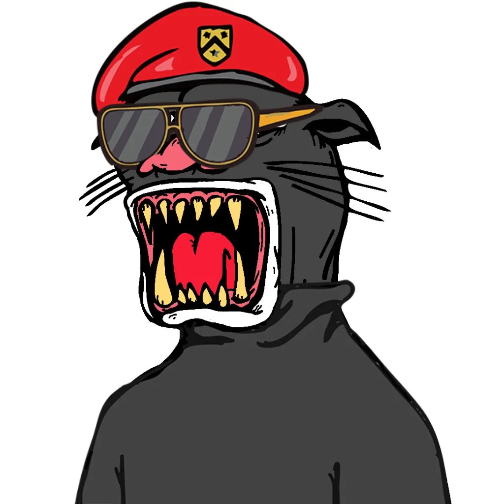 HNmetax's tweet photo. Born Soldier -  Be a General for the Community! 🫡 

$SPC FOREVER on-chain! 
@ShittyPanther https://t.co/WD8r7NYBIC