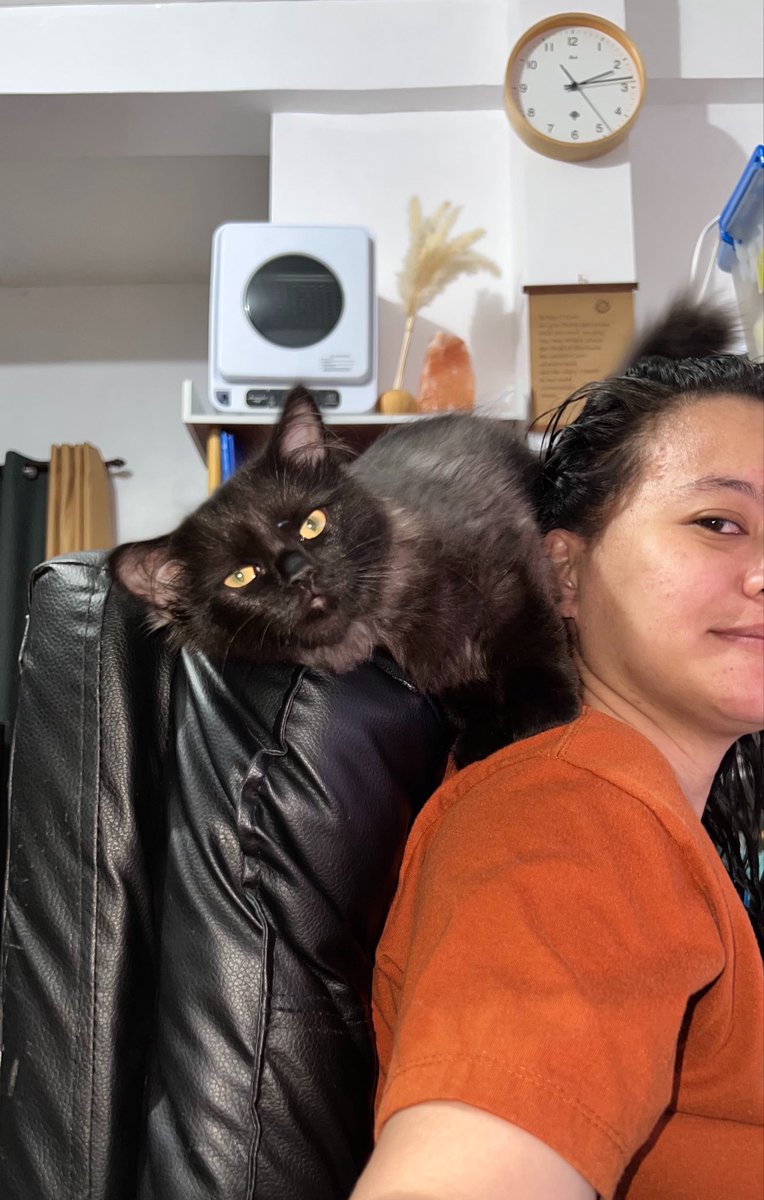 yorugid's tweet photo. Niki and Lucky 😻😻😻 https://t.co/q4MQQzRf3q